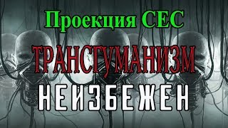 Проекция теории СЕС (Самостоятельных Единиц Сознания)