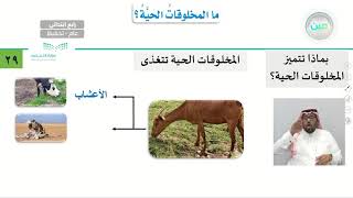 ما المخلوقات الحية؟ - العلوم - رابع ابتدائي