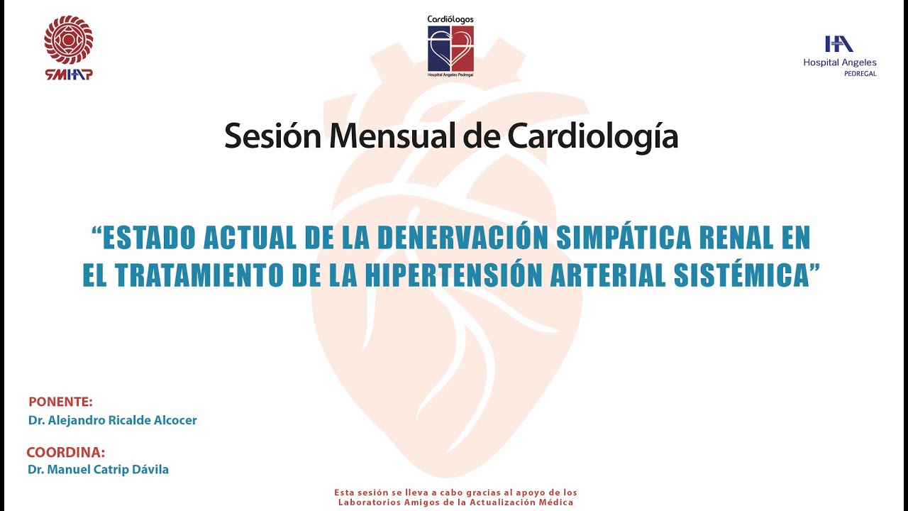 Estado actual de la denervación simpática renal en el tratamiento de la hipertensión arterial
