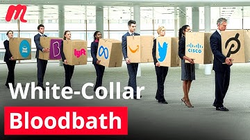 How AI is Causing a White Collar Bloodbath