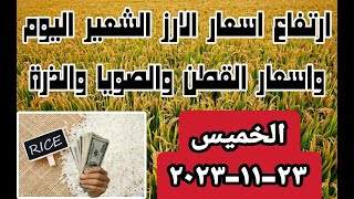 اسعار الارز الشعير اليوم اسعار الارز الابيض ومخلفات الارز واسعار الذرة والصويا اليوم