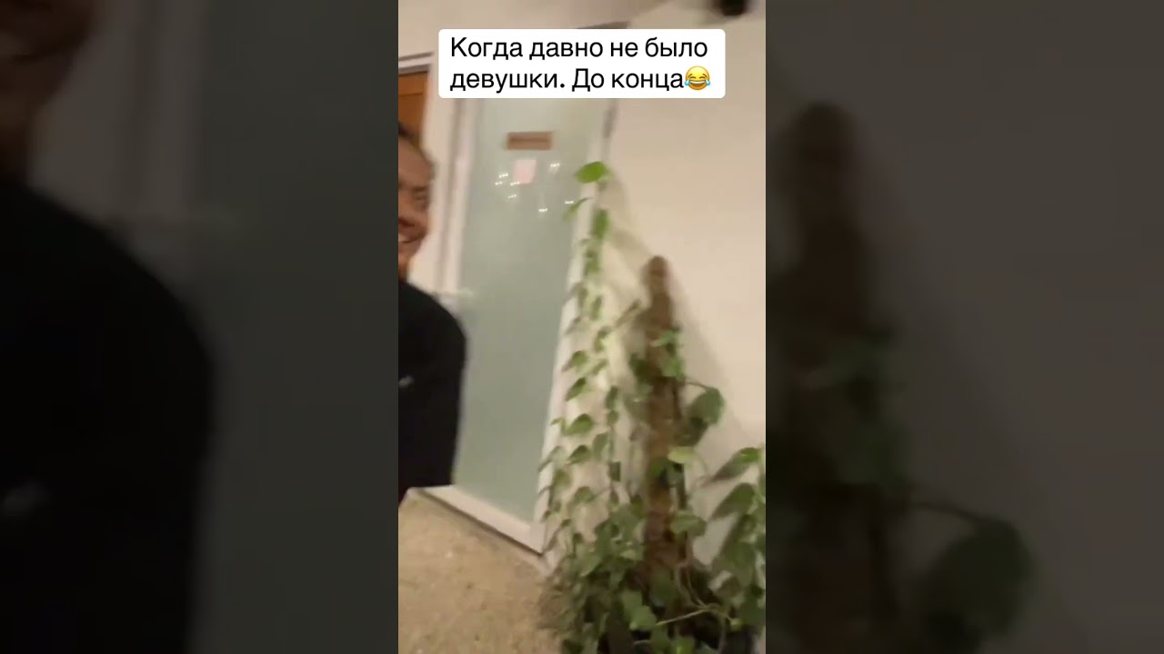 Когда давно не было екса