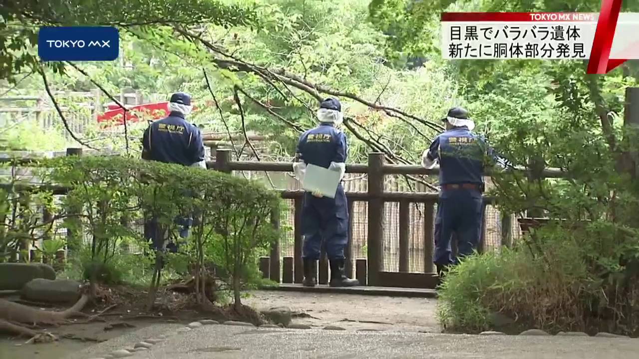 目黒の池にバラバラ遺体 きょう胴体部分を新たに発見 Youtube