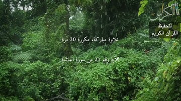 الآية رقم 21 من سورة المائدة   مكررة 30 مرة