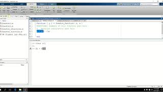 Newton's method: anonymous functions (matlab 17) Wealth
