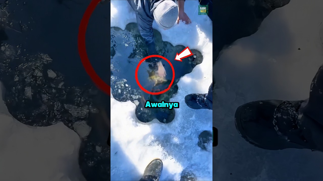 Dikira Dapat Ikan Besar, Malah Jadi Hal Yang Mengerikan⁉️😳