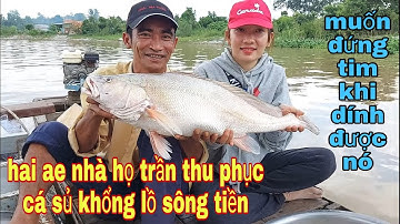 Xô Đổ Kỷ Lục 2 Năm Giăng Câu Ở Sông Tiền , Dính Cá Sủ Khổng Lồ Hiếm Thấy # SĂN BẮT ĐỒNG THÁP #