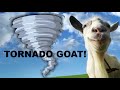 How To Get The Tornado Goat In Goat Simulator!
