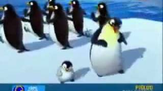 dansul pinguinilor original chords