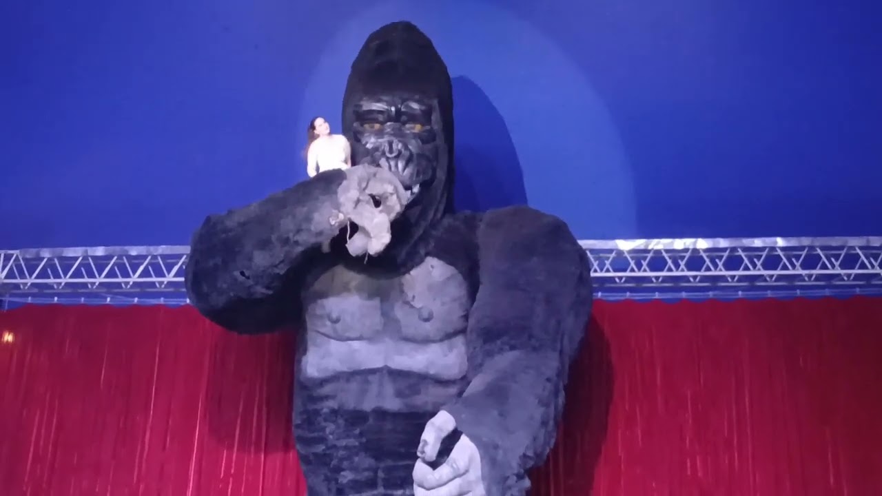 Primeira vez no Circo! // Circo Portugal.