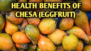 HAVE YOU EVER HEARD THIS EXOTIC FRUIT? (CHESA OR EGGFRUIT). WATCH THE 15 SURPRISING HEALTH BENEFITS.