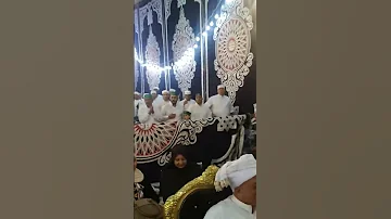 حلقة ذكر الله مولد السيد البدوي طرق صوفية تراث 
