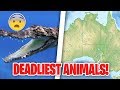 What Country has the MOST DANGEROUS Animals?!