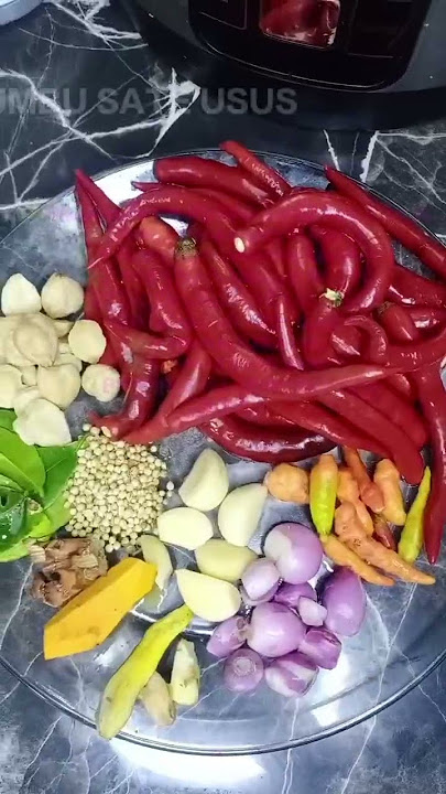 sate usus pedas tidak amis bisa jadi ide jualan #resepsimple #sateusus #ususayam #fyp #idejualan