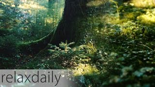 Light Music - instrumental, yoga, think, relax - relaxdaily N°098