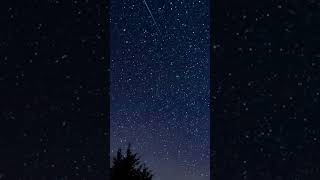 Watch the skies: stunning Perseids pics #shorts