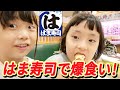 【大好評】みんな大好きお寿司を食べまくる!【はま寿司】