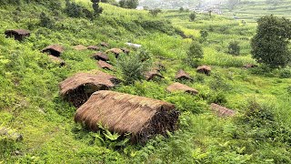Simple The Best Nepali Mountain Village || Most Peaceful And Relaxing Silpachar Village |