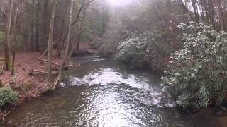 Gosh Darn Tree! DJI Phantom Crashes in Stream