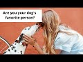 How Your Dog Chooses His Favorite Person