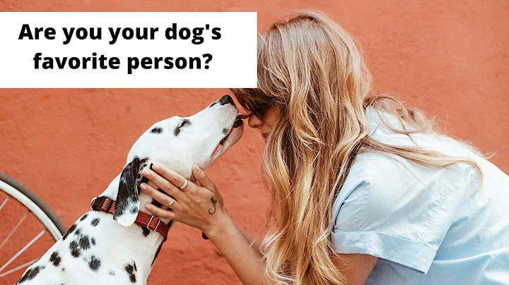 How Your Dog Chooses His Favorite Person - DayDayNews