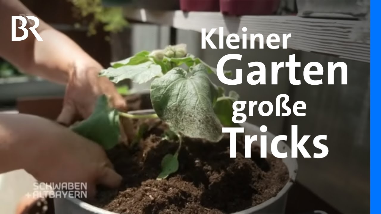 Tag der offenen Gartentür: Viola und ihre Gemüsebeete mit Schafswolle | Schwaben + Altbayern | BR