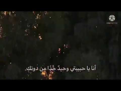 حياتي ليش تسكري وماتقولي بدك تسكري بحبيك انا حياتي لا تروحي