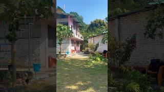 Where the noise ends.🪷#LotusYogaAcademy #YogaAshram #RishikeshYoga #YogicLifestyle