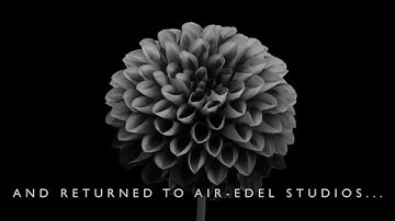 Spitfire Presents: Evo Grid #2 Teaser