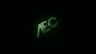 INTRO #4 | AEC | | Insp . | AEC 15 Entry |