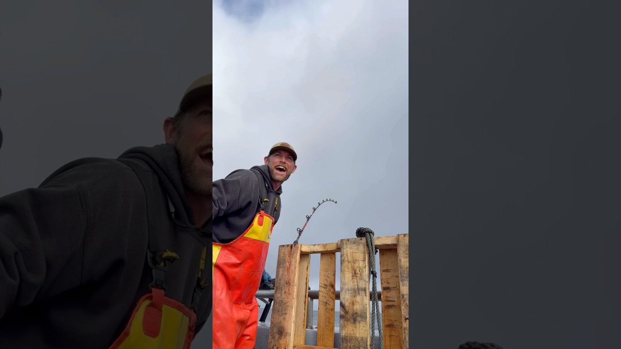 Nor Cal Bluefin Hookup 