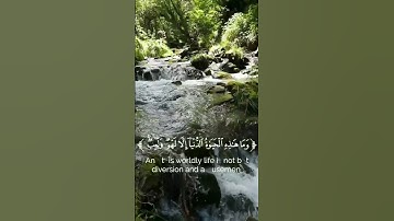 سورة العنكبوت الآية 64/على صوت القارئ الشيخ ياسر الدوسري 🎧🤍