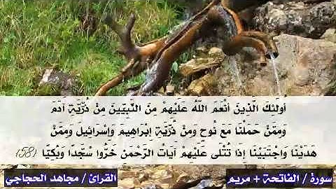 تلاوة خاشعه لسورة / الفاتحة +مريم للقارئ #مجاهد الحجاجي