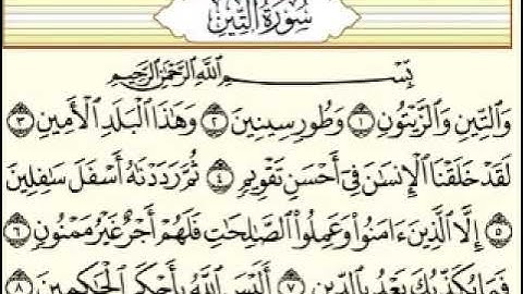 سورة التين بصوت الشيخ ياسر سلامة حدر
