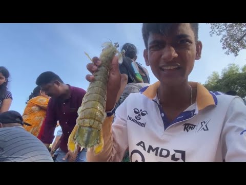 What I found in fish Market 🤯