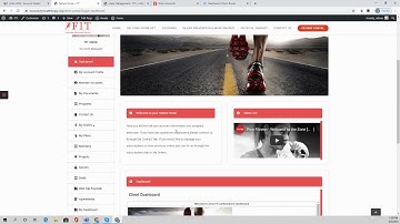 Client Portal WordPress Plugin - Webpage and Analytics Embed Options