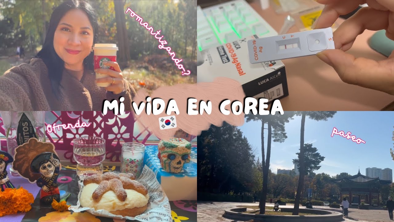 Vlog 🇰🇷 Salí positiva 🥲 mi primer ofrenda en casa😍! ¿Romantizar la vidaen Corea?