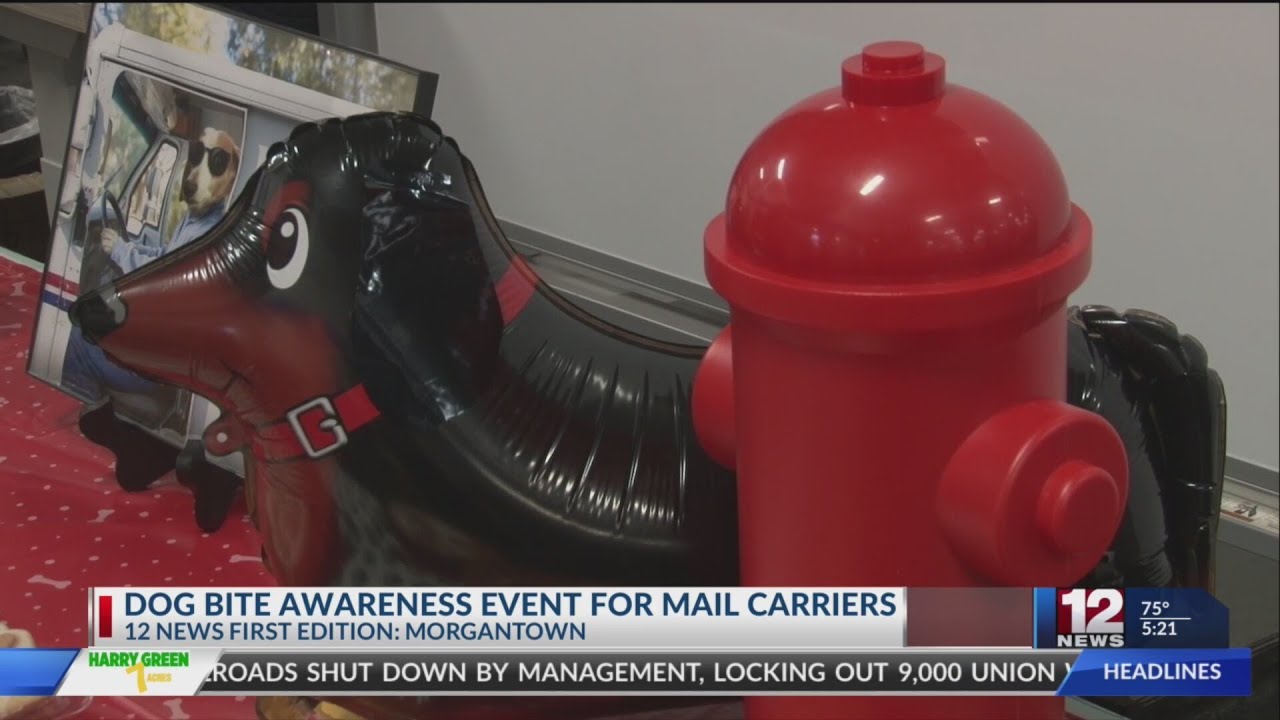 USPS raises awareness of dog bites against mail carriers