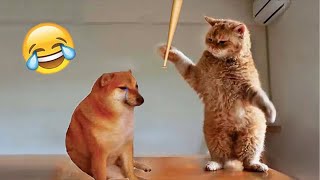 Funny Moments of Cats and Dog | Funny Video Compilation - Fails Of The Week Part 8