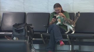 Homeless woman living at FLL now working at the airport, after 7News viewers stepped up to help by WSVN-TV 80,539 views 11 days ago 4 minutes, 38 seconds