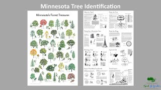 Tree Identification