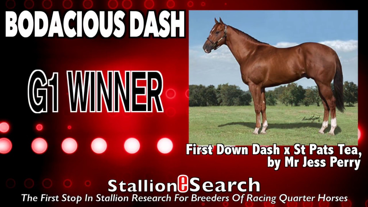 QH Stallion Spotlight April 11th19th YouTube