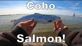 Salmon Fishing Indiana Lakefront!