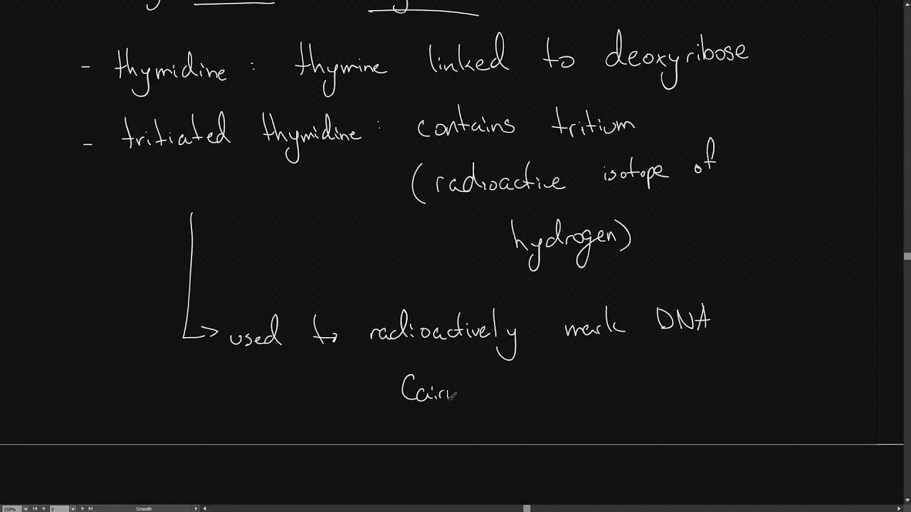 IB Bio 3.2 Chromosomes app/skills .1 Cairn's technique
