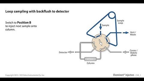 Cheminert loop sampling with backflush to detector