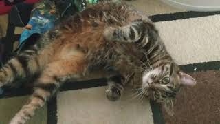 VID 20190830 154904