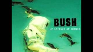 Video thumbnail of "Bush - Learning to swim"