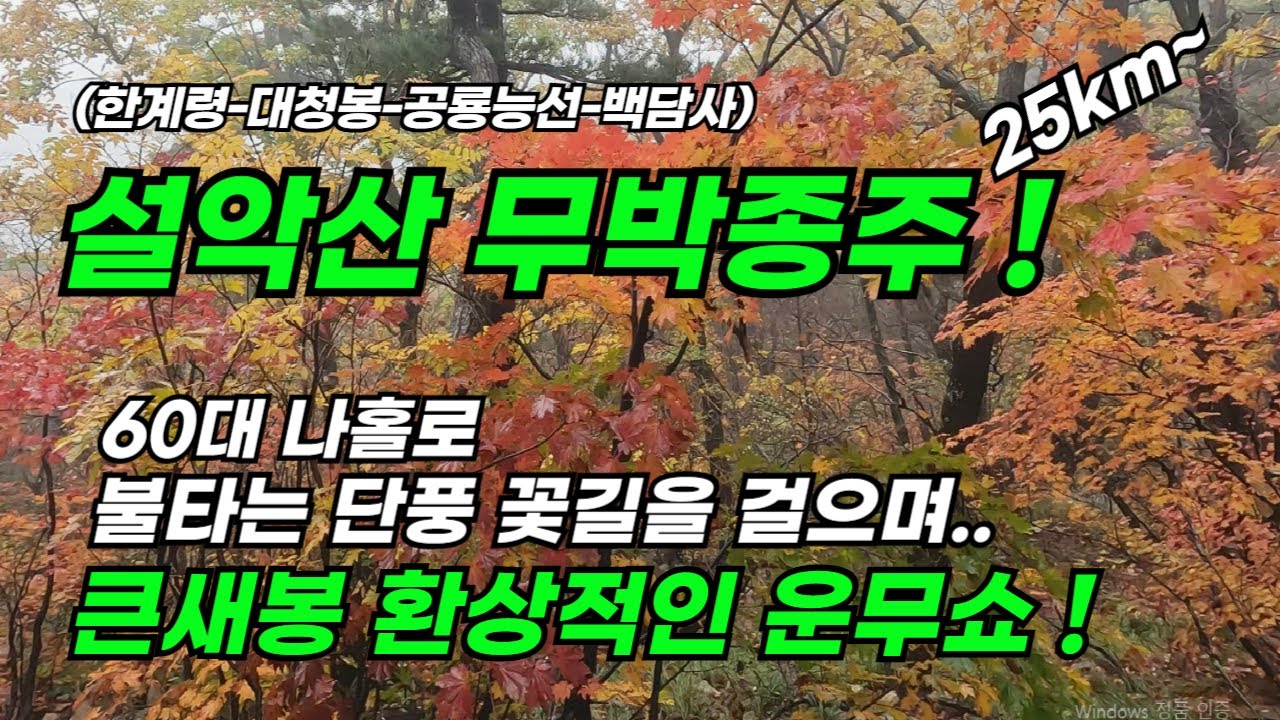 25년 설악산 나홀로 무박종주!(한계령-공룡능선-백담사) 큰새봉 환상적인 운무쇼 보셨나요? 설악산 공룡이 지금 비상걸렸어요~국공들이...단풍 어디까지?? 20년째 산행중.