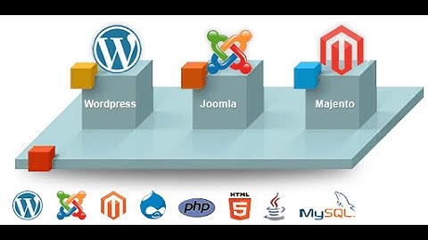 CMS Website Development and Designing Company India