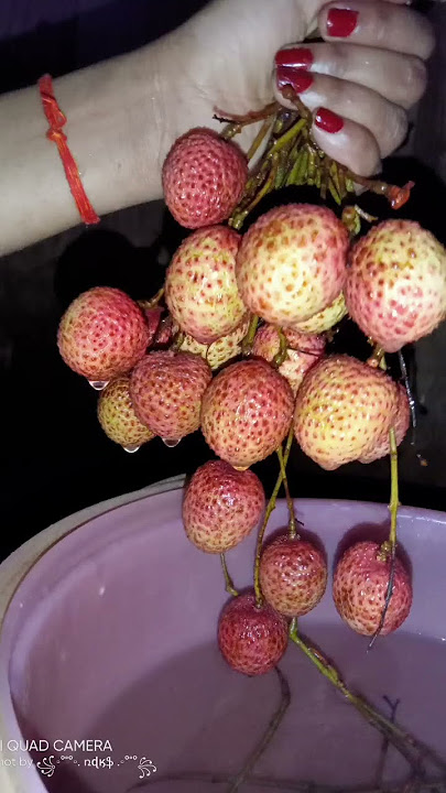 love with nature,Age age chale ham pichhe piche prit mitwa song #natureworld #naturestories #naturel